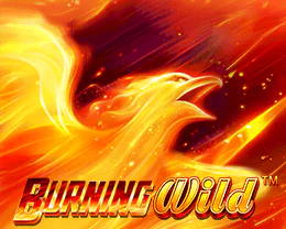 Burning WILD™
